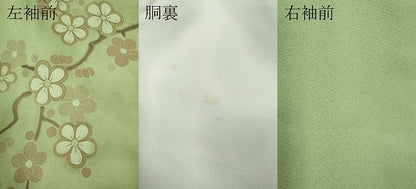 平和屋着物●訪問着　駒刺繍　枝花文　金彩　正絹　逸品　未使用　CABJ6567ut