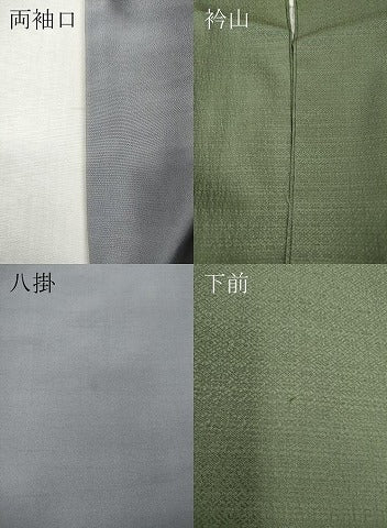 平和屋着物●訪問着　枝垂れ桜文　暈し染め　金彩　正絹　逸品　CABJ6643ut
