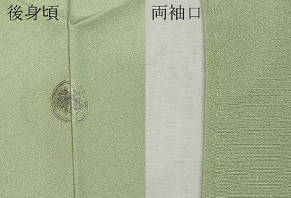 平和屋着物●上質な色無地　夏虫色　正絹　逸品　CABJ6718ut