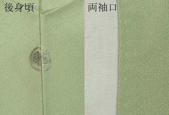 平和屋着物●上質な色無地　夏虫色　正絹　逸品　CABJ6718ut