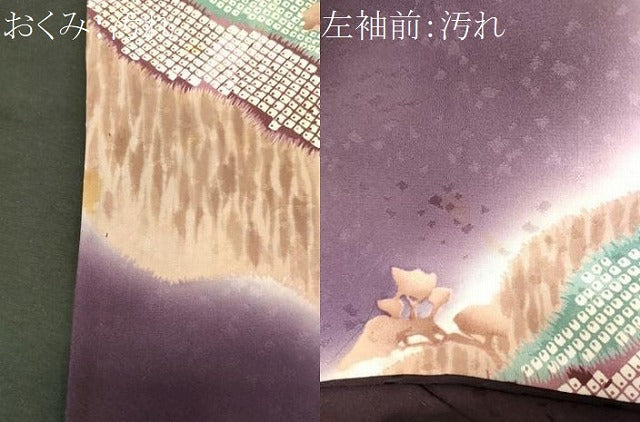 平和屋着物■訪問着　道長草木文　暈し染め　正絹　逸品　CABJ6862oy