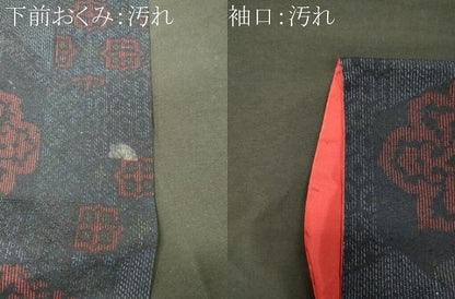 平和屋着物■上質な紬　吉祥正倉院花文　正絹　逸品　CABJ6872oy