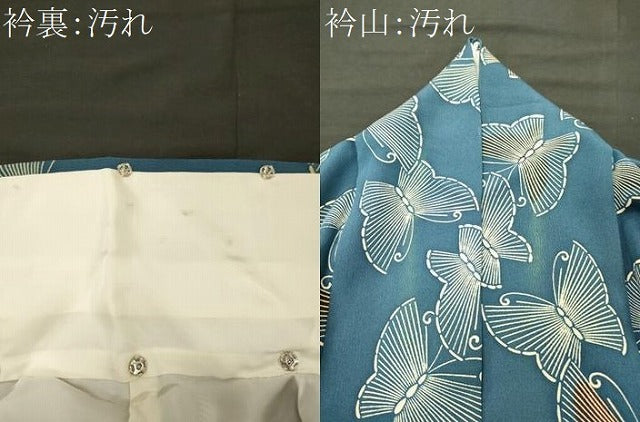 平和屋着物■上質な小紋　舞蝶文　正絹　逸品　CABJ6893oy