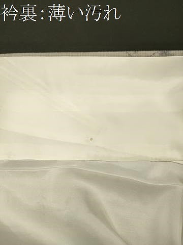 平和屋着物■上質な紬　草花文　正絹　逸品　未使用　CABJ7076oy