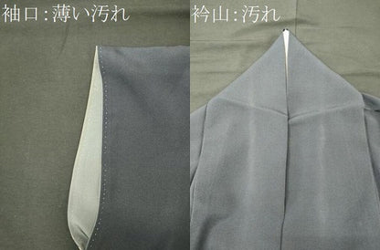 平和屋着物■訪問着　駒刺繍　草木文　暈し染め　金彩　正絹　逸品　CABJ7093oy