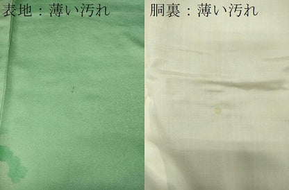平和屋着物■訪問着　駒刺繍　舞花文　暈し染め　金彩　正絹　逸品　CABJ7163oy