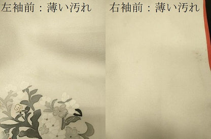 平和屋着物■訪問着　草花文　金彩　正絹　逸品　CABJ7165oy