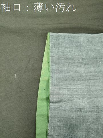 平和屋着物■上質な紬　吉祥文　正絹　逸品　CABJ7181oy