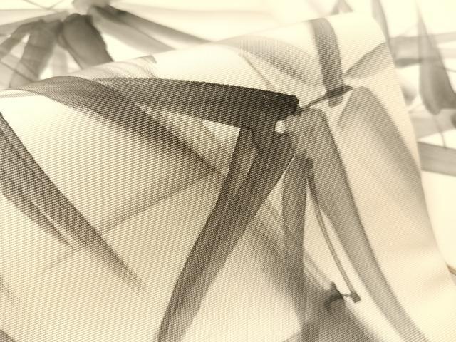 平和屋着物●塩瀬　九寸名古屋帯　作家物　手描き　笹竹文　正絹　逸品　CABJ7310vp