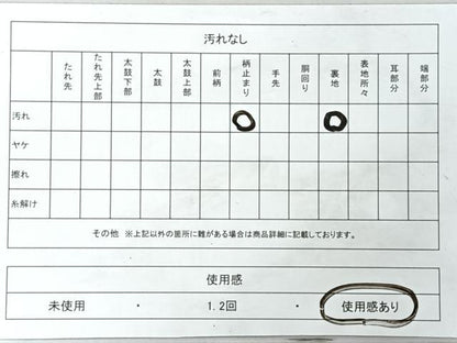 平和屋着物◎六通柄袋帯　唐織　格天花車文　九百プラチナ箔　正絹　逸品　CABJ7868nb