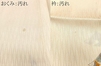 平和屋着物■上質な小紋　十二単　正絹　逸品　CABJ8033xe