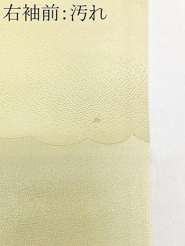 平和屋着物■訪問着　手描き　楓文　暈し染め　金彩　正絹　逸品　CABJ8040xe