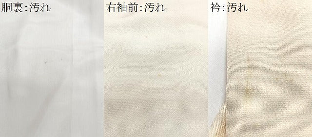 平和屋着物■訪問着　舞花文　金彩　正絹　逸品　CABJ8121xe