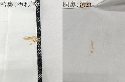 平和屋着物■本場大島紬　7マルキ　流水笹竹文　正絹　逸品　CABJ8231xe
