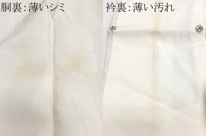 平和屋着物■訪問着　草花文　正絹　逸品　CABJ8271xe