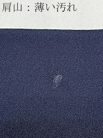 平和屋着物■訪問着　渡り橋風景文　暈し染め　金彩　正絹　逸品　CABJ8303xe