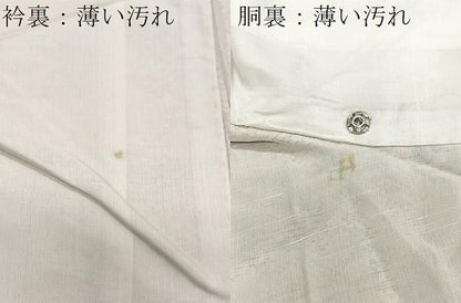 平和屋着物■上質な紬　霞文　正絹　逸品　CABJ8308xe