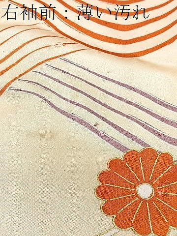 平和屋着物■豪華振袖　駒刺繍　立波花文　金彩　正絹　逸品　CABJ8326xe