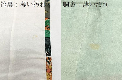 平和屋着物■上質な小紋　花鳥文　正絹　逸品　CABJ8328xe