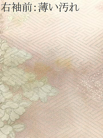 平和屋着物■上質な小紋　草花文　金彩　正絹　逸品　CABJ8360xe