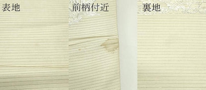 平和屋着物＊夏物　アンティーク　大正ロマン　丸帯　引き抜き帯　唐織　雪輪秋草文　銀糸　正絹　逸品　CABJ9025rv