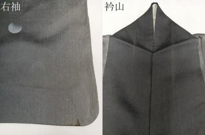 平和屋着物＊夏物　訪問着　紗紬　刺繍　水玉　正絹　逸品　CABJ9601xi