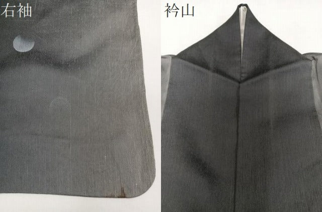 平和屋着物＊夏物　訪問着　紗紬　刺繍　水玉　正絹　逸品　CABJ9601xi