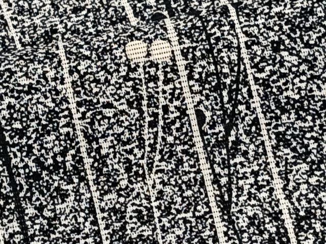 平和屋着物＊夏物　小紋　絽　枝花文　たたき染め　黒地　正絹　逸品　CABJ9605xi