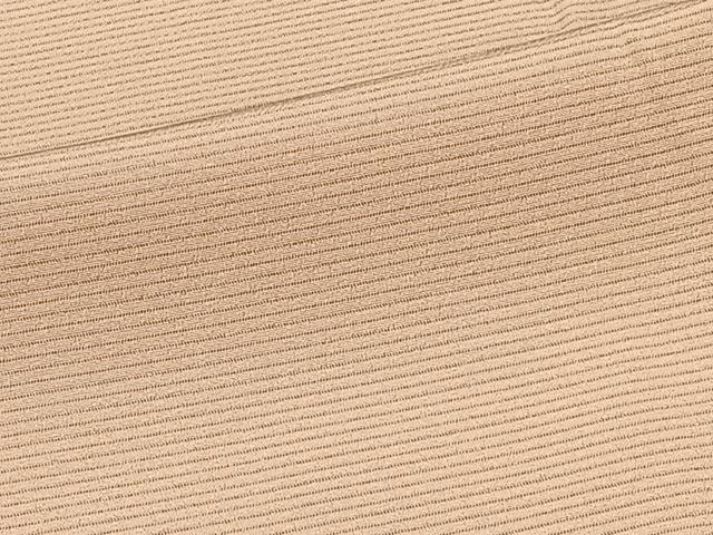 平和屋着物＊夏物　色無地　絽　伽羅色　正絹　逸品　CABJ9612xi