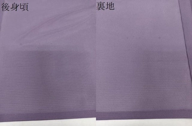 平和屋着物＊夏物　色無地　絽　紫苑色　洗える着物　CABJ9637xi