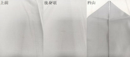 平和屋着物＊夏物　色無地　絽縮緬　白藤色　洗える着物　CABJ9643xi