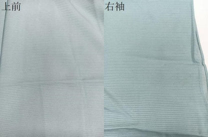 平和屋着物＊夏物　江戸小紋　彫士：住田双光・染士：服部光擴　絽　鮫小紋柄　正絹　逸品　CABJ9669xi