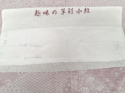 平和屋着物＊夏物　江戸小紋　絽　切嵌吉祥文　五泉　反端付き　正絹　逸品　CABJ9679xi