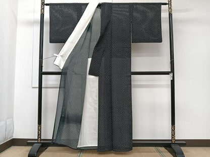 平和屋着物＊夏物　小紋　縦絽　網目文　黒地　正絹　逸品　CABJ9682xi