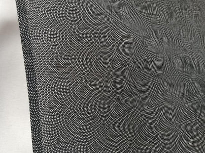 平和屋着物＊夏物　江戸小紋　絽　鮫小紋柄　黒地　正絹　逸品　CABJ9697xi