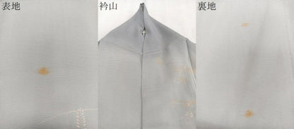 平和屋着物＊夏物　訪問着　絽　駒刺繍　萩蜻蛉　暈し染め　金糸　正絹　逸品　CABJ9701xi