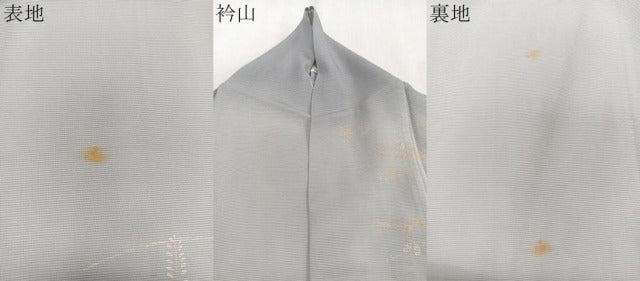 平和屋着物＊夏物　訪問着　絽　駒刺繍　萩蜻蛉　暈し染め　金糸　正絹　逸品　CABJ9701xi