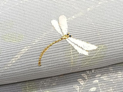 平和屋着物＊夏物　訪問着　絽　駒刺繍　萩蜻蛉　暈し染め　金糸　正絹　逸品　CABJ9701xi
