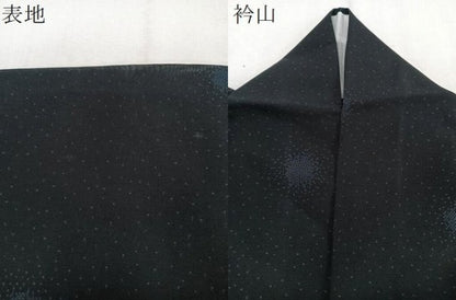 平和屋着物＊夏物　夏大島　霞文　正絹　逸品　CABJ9704xi