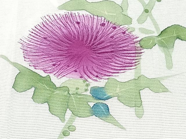 平和屋着物＊夏物　訪問着　絽　手描き　枝草花文　正絹　逸品　未使用　CABJ9713xi