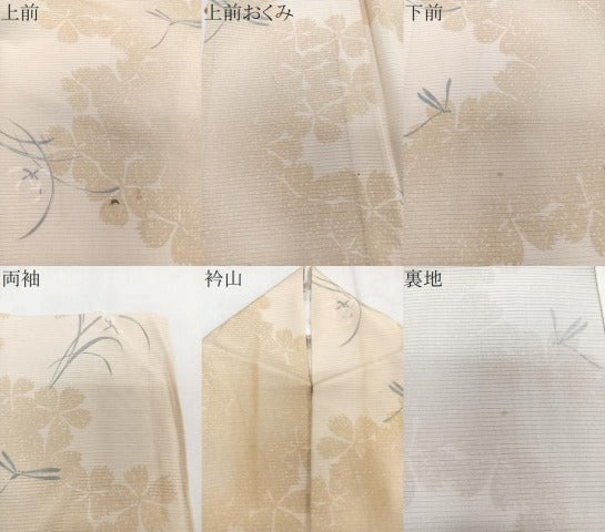 平和屋着物＊夏物　小紋　絽　草花蜻蛉　正絹　逸品　CABJ9715xi