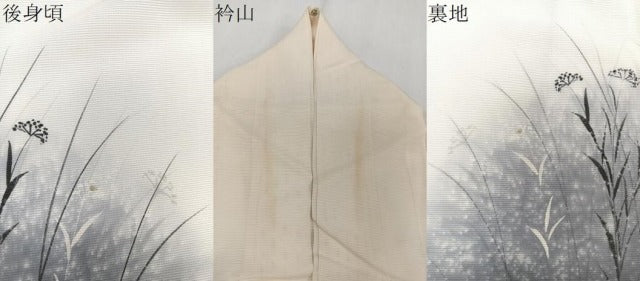 平和屋着物＊夏物　訪問着　絽　手描き　枝草花文　金彩　正絹　逸品　CABJ9739xi