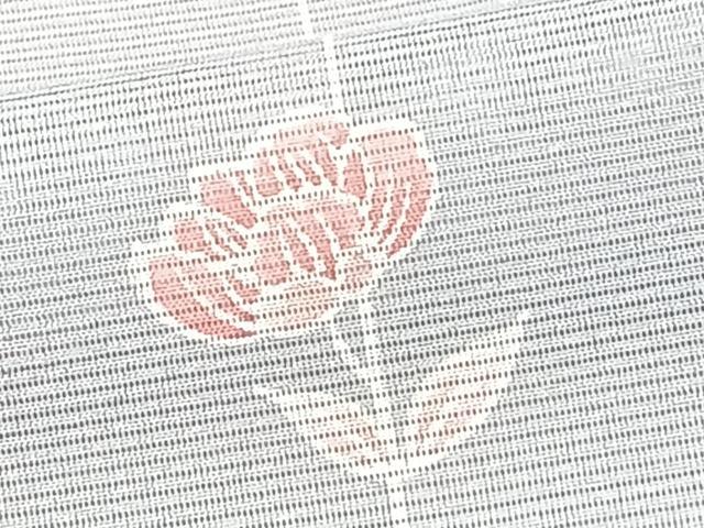 平和屋着物＊夏物　小紋　絽　枝草花文　洗える着物　CABJ9756xi