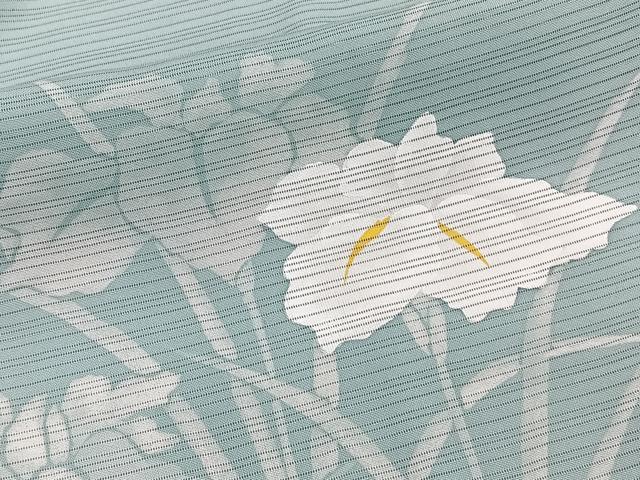 平和屋着物＊夏物　訪問着　変わり絽　流水草花文　正絹　逸品　未使用　CABJ9784xi