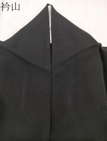 平和屋着物＊夏物　訪問着　絽　草花シルエット　黒地　金銀彩　正絹　逸品　CABJ9787xi