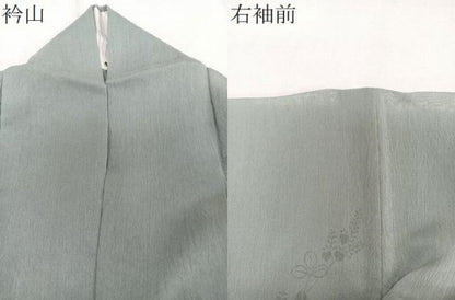 平和屋着物＊夏物　訪問着　紗　刺繍　枝萩文　夏虫　銀糸　正絹　逸品　CABJ9815xi