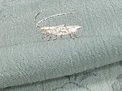 平和屋着物＊夏物　訪問着　紗　刺繍　枝萩文　夏虫　銀糸　正絹　逸品　CABJ9815xi