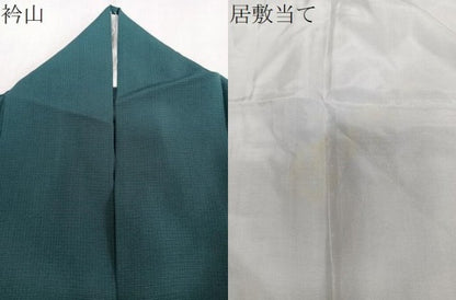 平和屋着物＊夏物　訪問着　絽　花蝶文　銀彩　鈴乃屋扱い　正絹　逸品　CABJ9817xi
