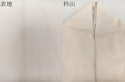 平和屋着物＊夏物　訪問着　絽　鳳凰花文　金彩　正絹　逸品　CABJ9842xi