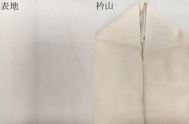平和屋着物＊夏物　訪問着　絽　鳳凰花文　金彩　正絹　逸品　CABJ9842xi